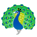 peacock