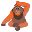 orangutan