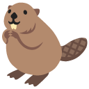 beaver