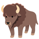 bison