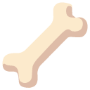 bone