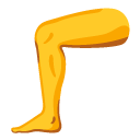 leg