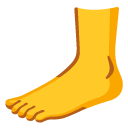 foot