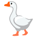 goose