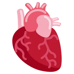 anatomical heart