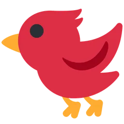 bird