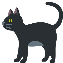 black cat