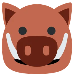 boar