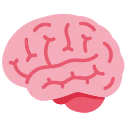 brain