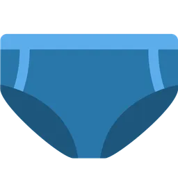 briefs