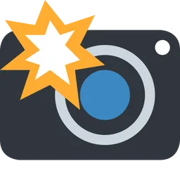 camera with flash