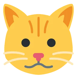 cat face