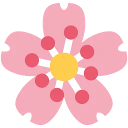 cherry blossom