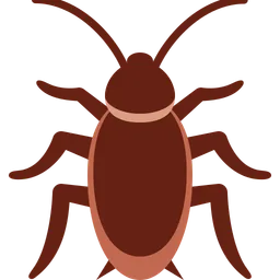 cockroach