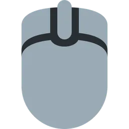 computer mouse