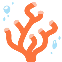 coral