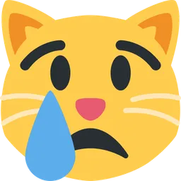 crying cat