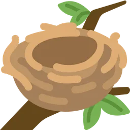 empty nest
