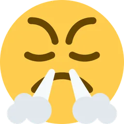 face with steam from nose