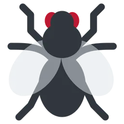 fly