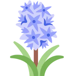 hyacinth