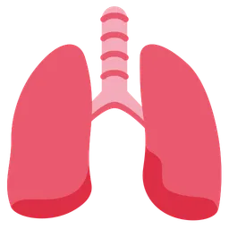 lungs