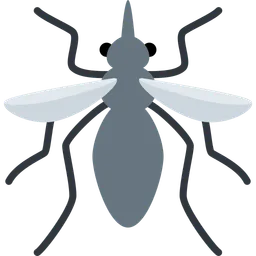 mosquito