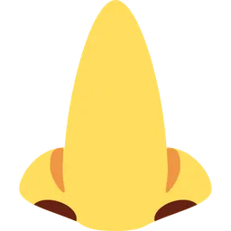 nose
