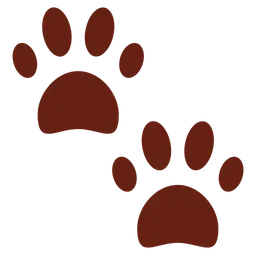 paw prints