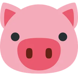 pig face