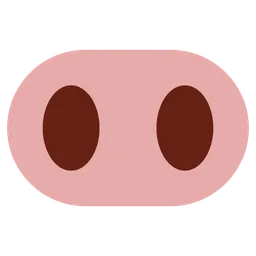 pig nose