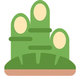 pine decoration