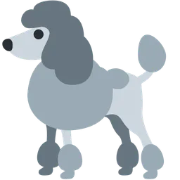 poodle
