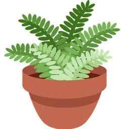 potted plant