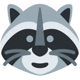 raccoon