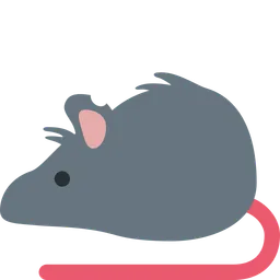 rat