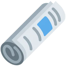 rolled-up newspaper