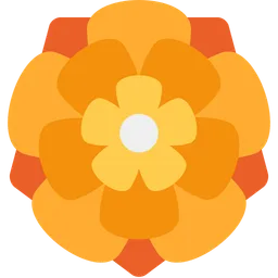 rosette