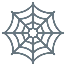spider web