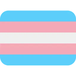 transgender flag