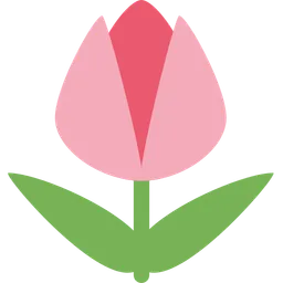 tulip