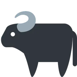 water buffalo