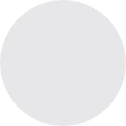 white circle