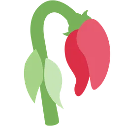 wilted flower